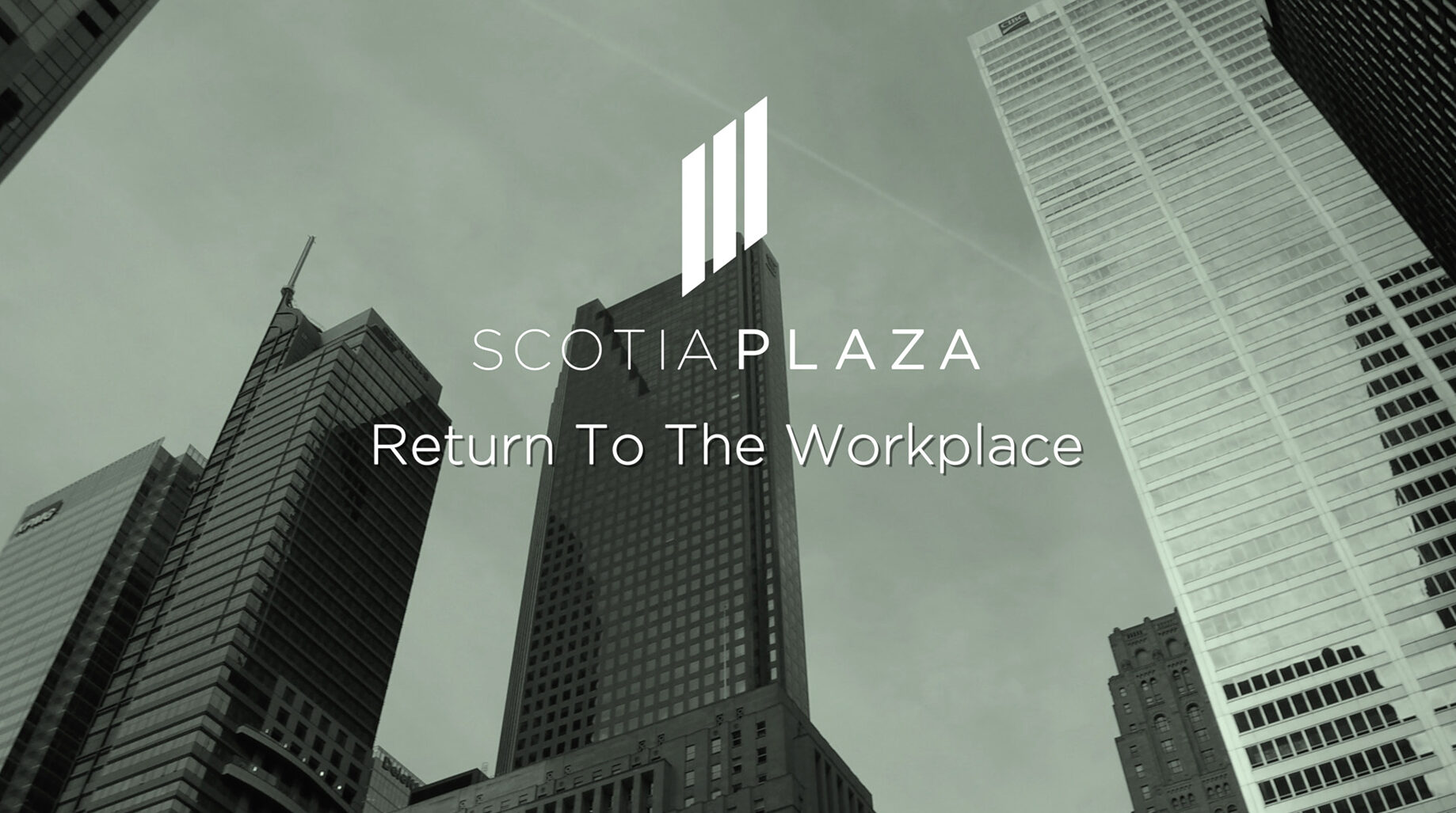 Scotia Plaza Return To Work Video